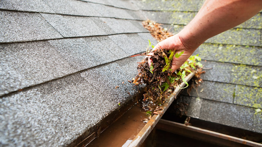 How To Clean Your Home's Roof and Gutters Quickly and Easily | Companion  Maids